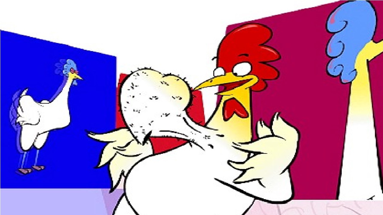 gino pollo gino pollo