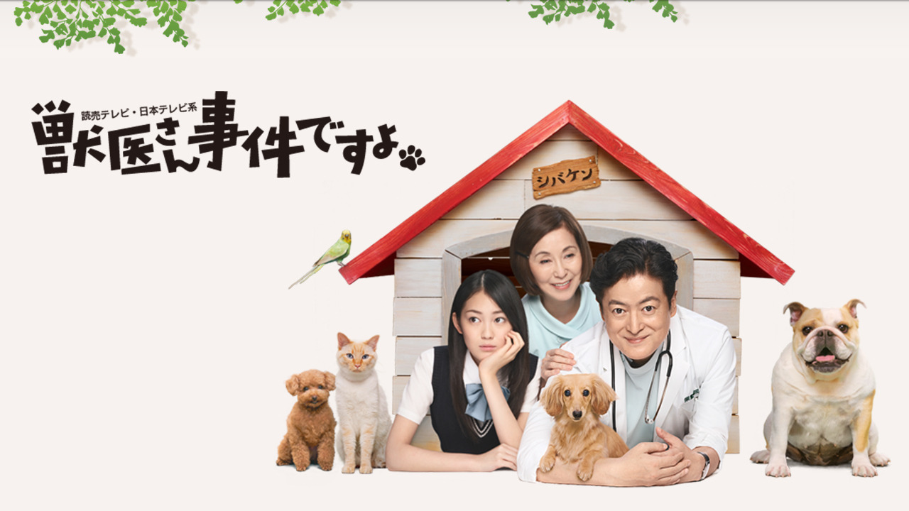 TV Time Veterinarian (TVShow Time)