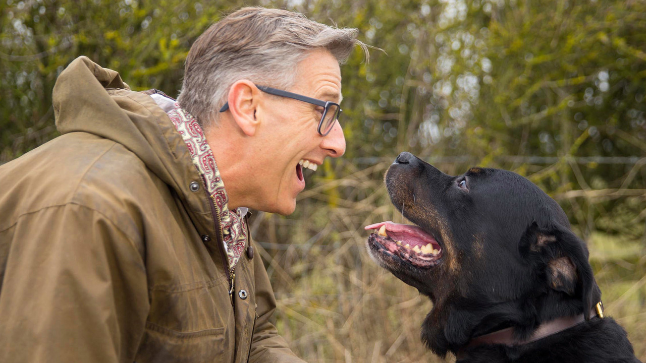 dogs behaving badly 2019