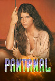 Pantanal (1990)