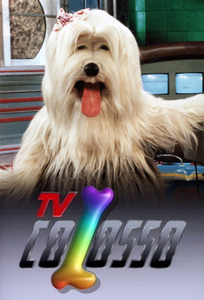 TV Colosso