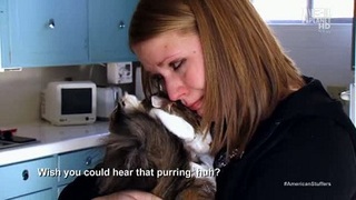 Tv Time American Stuffers S01e05 The Dog Named Precious Tvshow Time