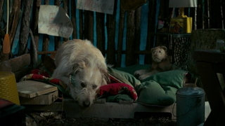 Stranger Things S01e05 Stranger Things S01e05